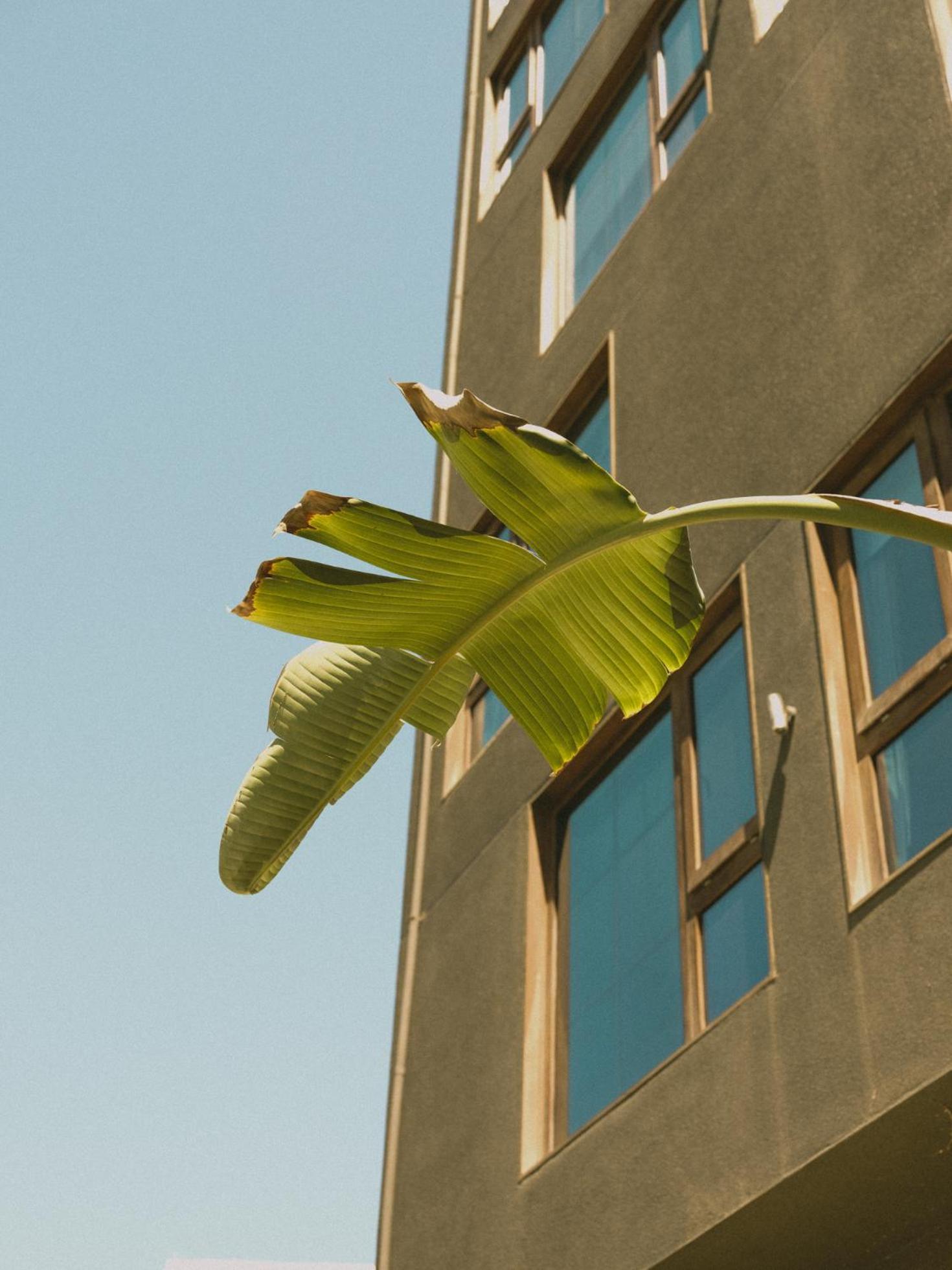 Hotel Eco Boutique Bidasoa Santiago Eksteriør bilde